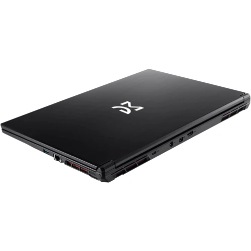 Ноутбук Dream Machines RG4070-17 (RG4070-17UA26) UA: Тип экрана матовый