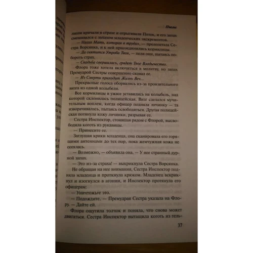 Лалін Полл: Бджоли фото 8