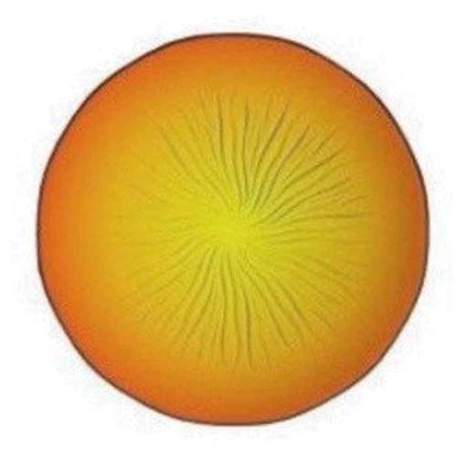 Тарелка десертная Luminarc SOLEIL YELLOW H8838 (220мм)