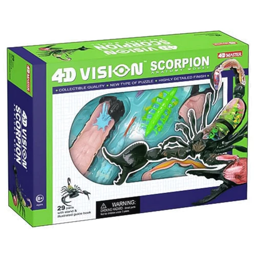Объемная анатомическая модель 4D Master Скорпион (FM-622033)