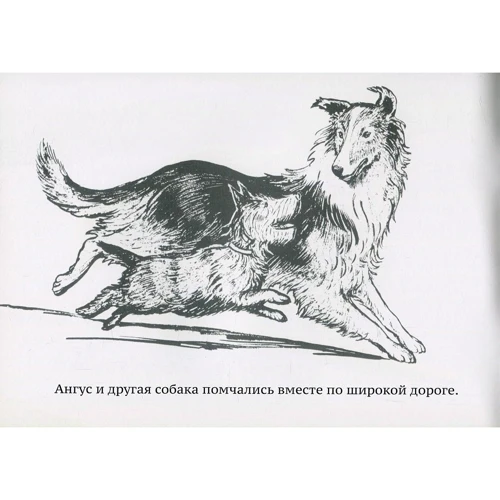 Марджори Флак: Ангус потерялся: Производитель Карьера Пресс