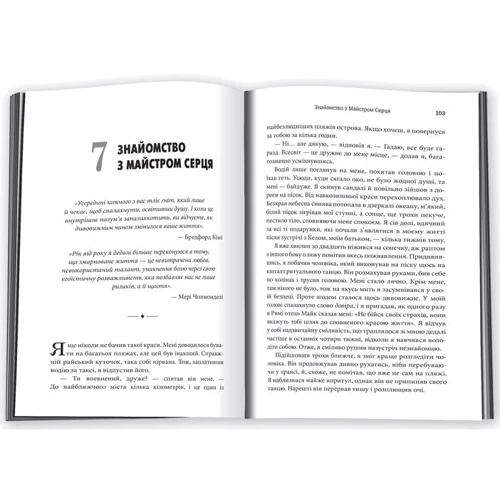 Святий, Cерфінгіст и Директор. Дивовижна Розповідь про ті, як можна жити за покликом серця: Обкладинка М'яка