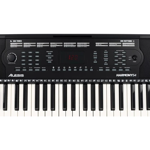 Синтезатор ALESIS Harmony 54