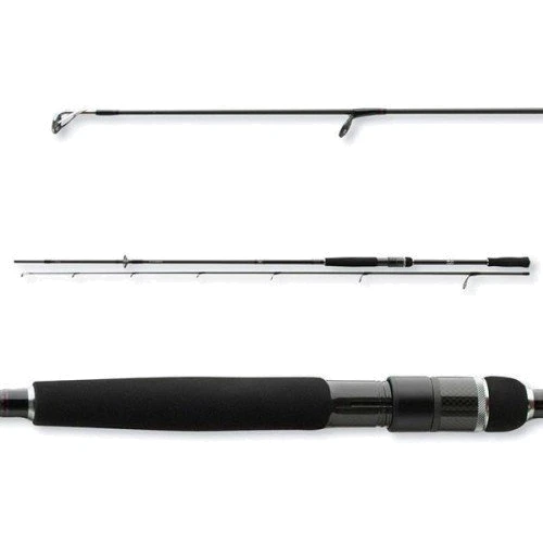 Спінінгові вудилище Daiwa Prorex AGS 2,4m 30-70gr (11290-243)