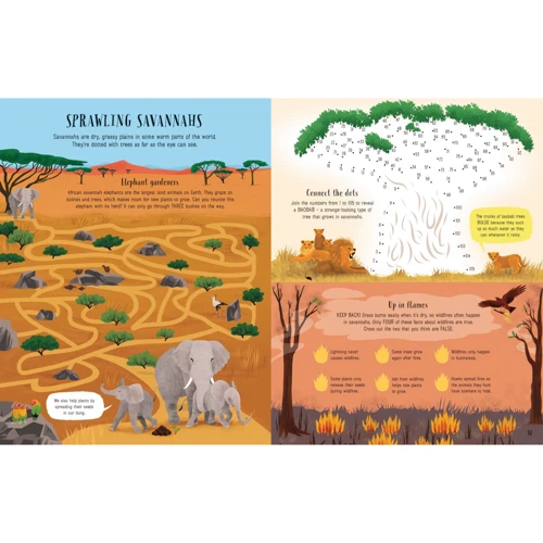Planet Earth Activity Book / Інтерактивна книга: Планета Земля: Обкладинка Мягкая