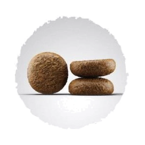 Сухий корм для собак Josera Active Nature для активних собак 12.5 кг (50012854): Порода Все породы