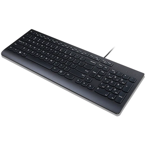 Клавиатура Lenovo Essential Wired Keyboard Black (4Y41C75141): Интерфейс подключения USB