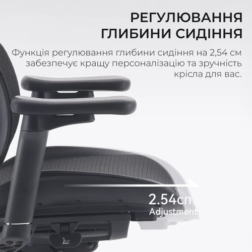 Офисное кресло Sihoo DORO S100 Mesh Black (S100-M301)