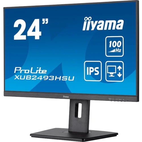 Монитор iiyama XUB2493HSU-B6: Формат изображения 16:9