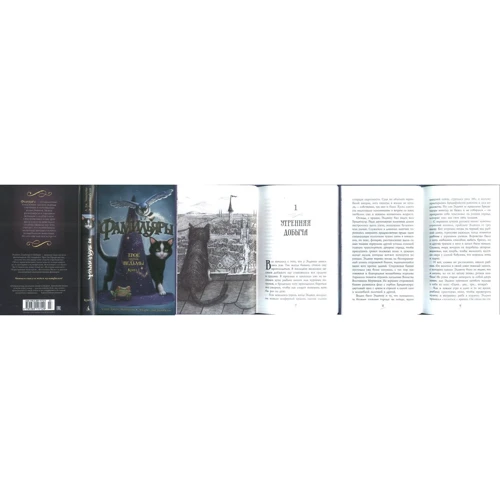 Комплект книг Фамильяры: Трое против Ведьмы + Загадки Короны + Круг Героев + Дворец Грез: Жанр Детская фантастика и фэнтези
