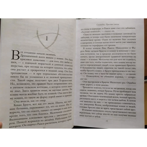 Меггі Стівотер: Сновидець. Поклич сокола: Кількість сторінок 544