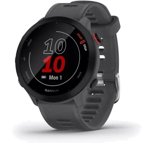 Смарт-часы Garmin Forerunner 55 Monterra Grey (010-02562-13)