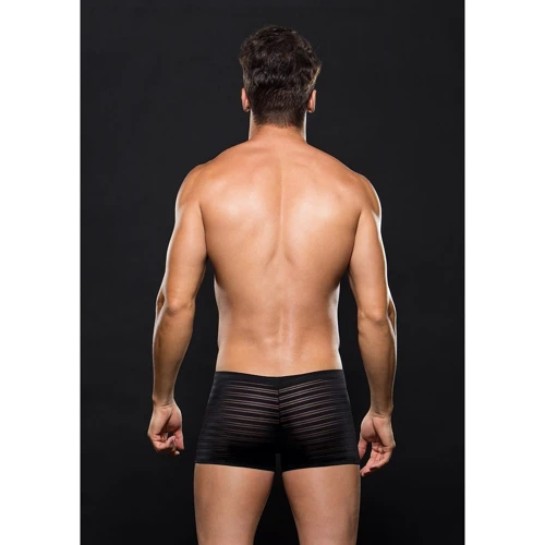 Мужские боксеры Microfiber Boxer Stripe, S/M
