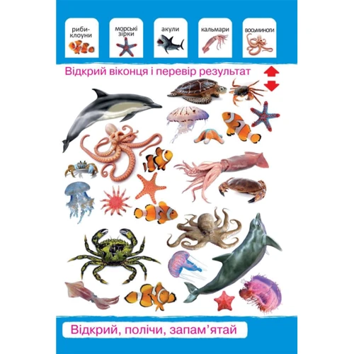 Тварини. Перший фото-віммельбух. Відкрий, полічи, запам'ятай: ISBN 978-966-936-821-8