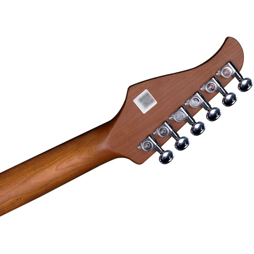 Электрогитара MOOER GTRS Standard 800 (Surf Green): Тип Электрогитара