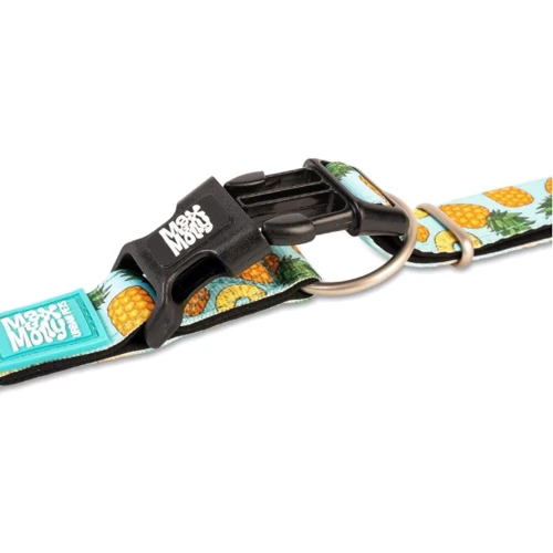 Ошейник Max & Molly Smart ID Collar - Sweet Pineapple/L для собак (4894512053052): Тип Обычные