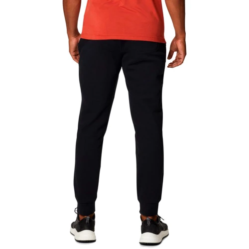 Спортивні штани Columbia CSC Logo™ Fleece Jogger II 1911601-010 48 темні: Вид Спортивные брюки