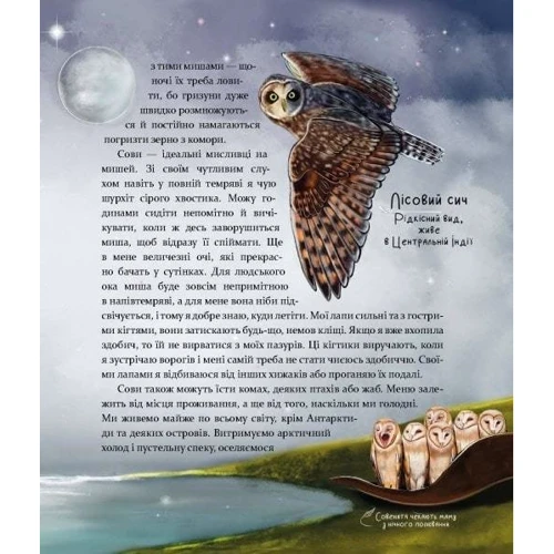 Яна Хоменко: Такі як ми. Про тварин та їх характери: Кількість сторінок 176