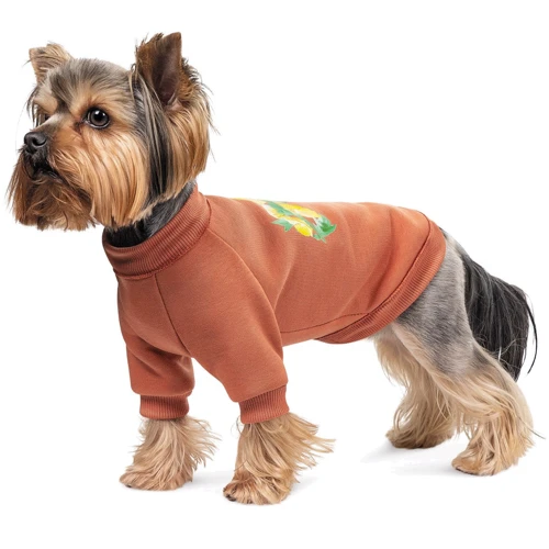 Толстовка Pet Fashion Miley XS2 (4823082434718): Длина спины 26-28 см