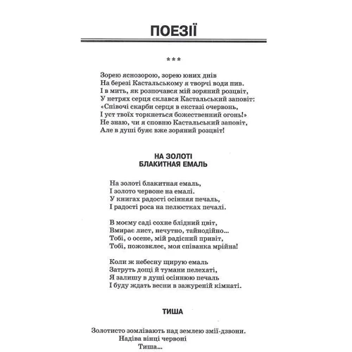 Олекса Слісаренко: Вибрані твори: Обложка Твердая