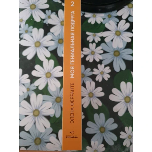 Елена Ферранте: Історія нового імені: ISBN 978-5-00131-131-7