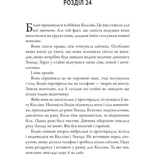 І зайде сонце: Жанр Детективы