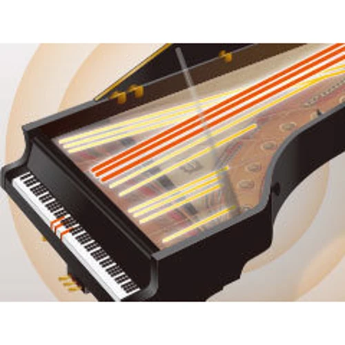 Цифровое пианино YAMAHA Clavinova CVP-701B: Тип Сценические