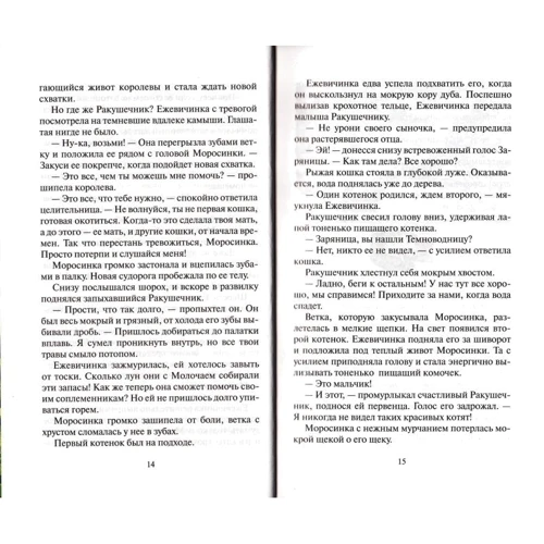 Эрин Хантер: Коты-воители. Обещание Метеора. Книга 1. Западня: Автор Эрин Хантер