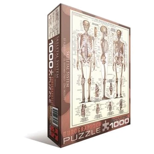 Пазл EuroGraphics "Скелет человека", 1000 элементов (6000-3970)