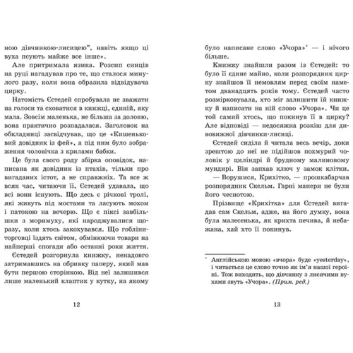 Енді Саґар: Крихітка Єстедей і буря в чайній чашці. Книга 1: Количество страниц 384