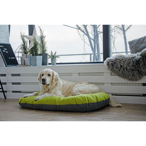 Лежак-подушка Lucky Pet №2 Морфей для собак салатовый 50х70 см (215334): Страна производитель Украина