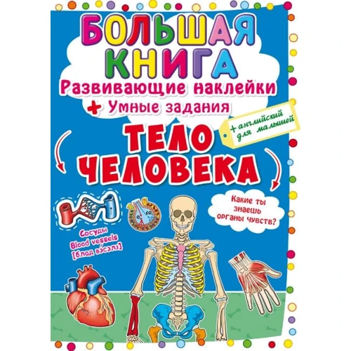 Большая книга. Развивающие наклейки. Умные задания. Тело человека