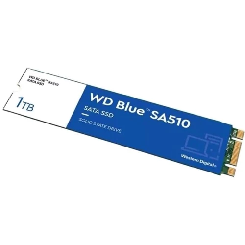 WD Blue SA510 M.2 1 TB (WDS100T3B0B): Тип накопичувача внутренний