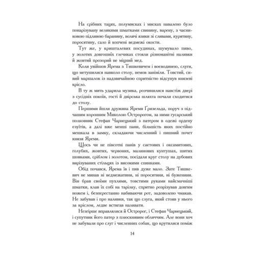 Олександр Соколовський: Богун фото 10