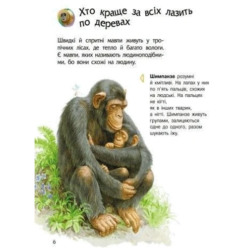 Енциклопедія дошкільника. Тварини: ISBN 978-617-09-2834-4