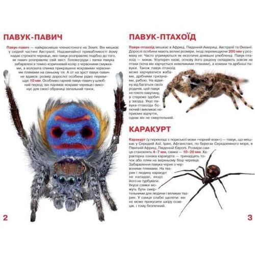 Велика книжка. Павуки: Производитель БАО