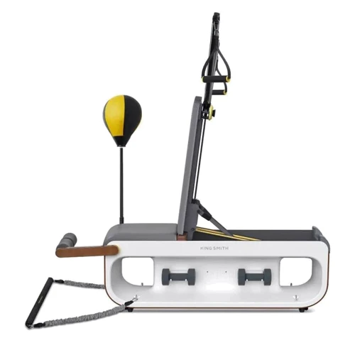 Скамья для жима и пресса Kingsmith Модель FBB1C (FBB1C)