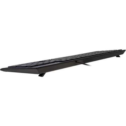 Клавиатура Lenovo 300 USB Keyboard Ru (GX30M39684): Тип клавиатуры стандартная
