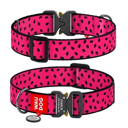 Ошейник для собак WAUDOG Nylon с QR паспортом Арбуз, XXL (4535-0049)