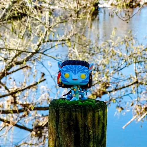 Игровая фигурка Funko POP! серии Аватар – Нейтири (65642): Пол Унисекс