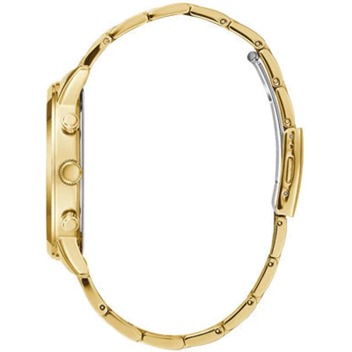 Наручные часы GUESS W1309G2: Тип Мужские