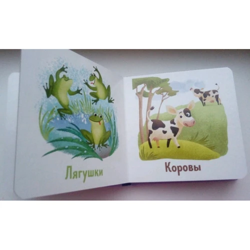Мои первые слова: Обложка Картон