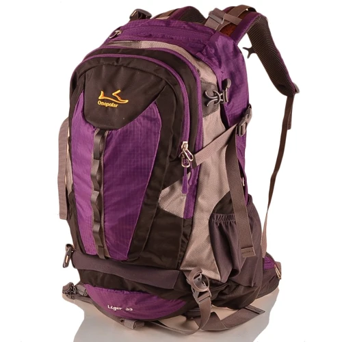 Женский рюкзак Onepolar фиолетовый (W1597-violet)