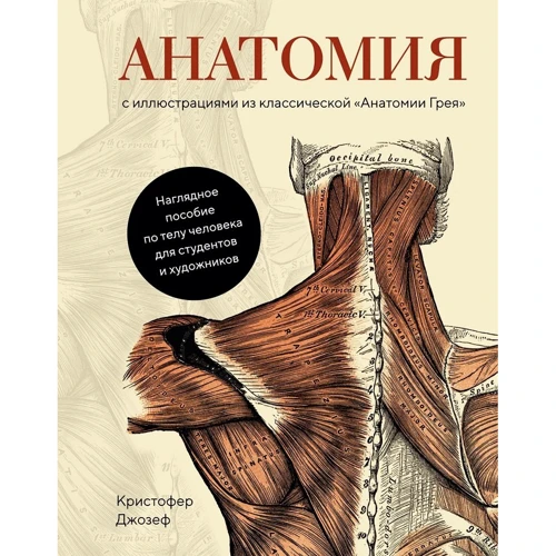 Крістофер Джозеф: Анатомія