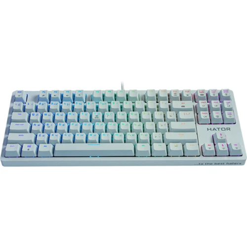 Клавиатура HATOR Rockfall EVO TKL Optical White (HTK-631): Количество клавиш 87