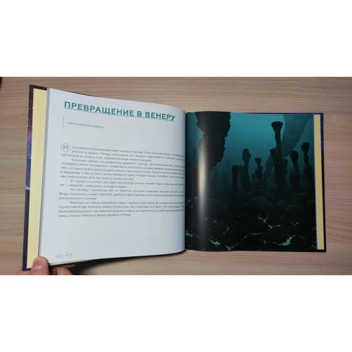 Антон Нелихов: История будущего. Что ждет Землю, Вселенную и человечество миллиарды лет спустя: Автор Антон Нелихов