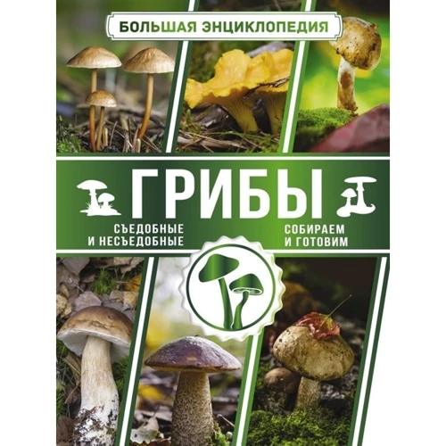 Большая энциклопедия грибника. Съедобные и несъедобные. Собираем и готовим: Производитель АСТ
