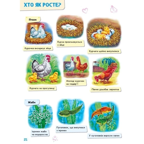 І. Горянська: Малюкові про все на світі: Количество страниц 32