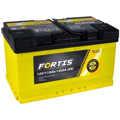 FORTIS 110 Ah/12V (0) Euro (FRT110-00)