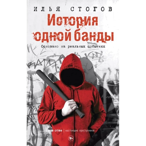 Илья Стогов: История одной банды
